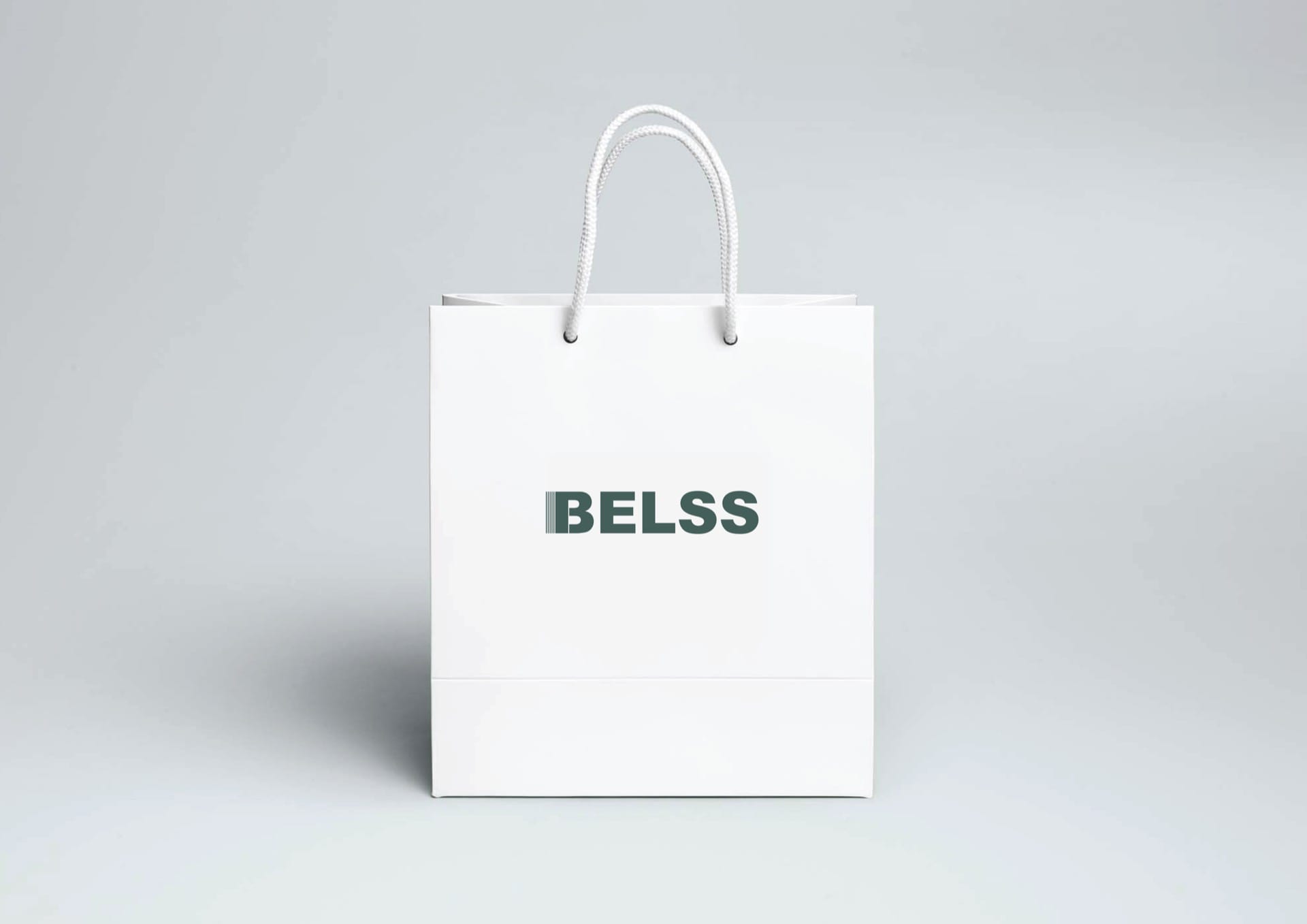 BELSS