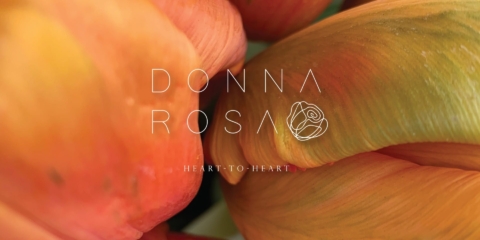 donna rosa 1